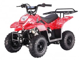 Rear luggage rack for small chinese atv and TAOTAO 110B