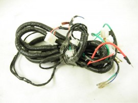 21 Wire harness for buggy TAOTAO ATK 125