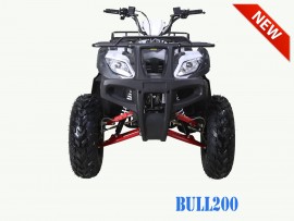 BULL 200 cc - Automatique 200 cc