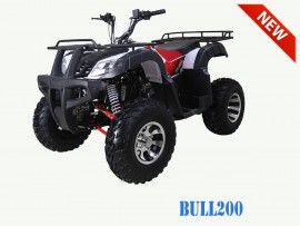 Front Bumper for Chinese atv and TAOTAO BULL 200