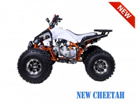 ATV TAO MOTORS - CHEETAH...
