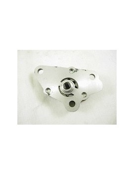 21 Oil pump for Chinese engine TAOTAO 110cc to 140cc