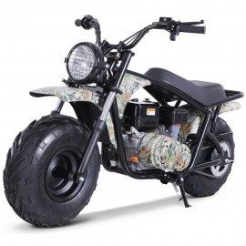 Motocross Taomotors - Baja 200 - Automatique 200 cc-adulte