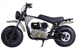 Motocross pour adulte - Baja 200 de Taomotors - Automatique 200 cc