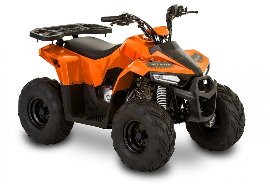 Affordable ATV for Children | Recreational Vehicles | VTT Lachute
